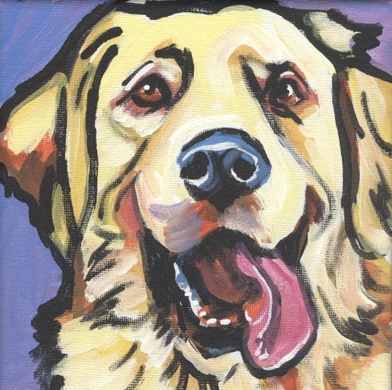 Golden Retriever modern Dog art print pop dog art bright colors 12x12 inch