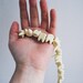Tooth Choker - Glow in the Dark