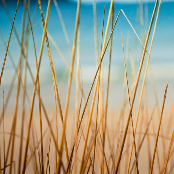 Nautical decor - Photo Fine art photography print 5x5 -  beach Photography summer photograph - ocean photography "Out of Focus" clickety