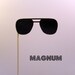 Photobooth props glasses on a stick Magnum