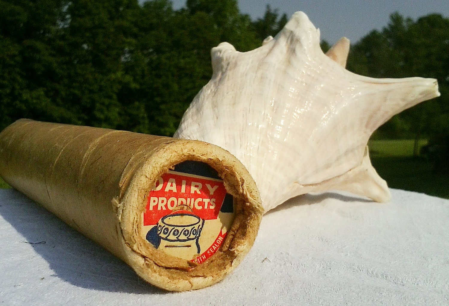 Antique cardboard milk top in original roll-vintage "Dairy Products" cardboard milk tops