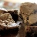 Butterscotch Maple Whole Wheat Blondies With Raisins