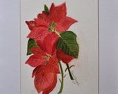 Poinsettia Original Watercolor Painting