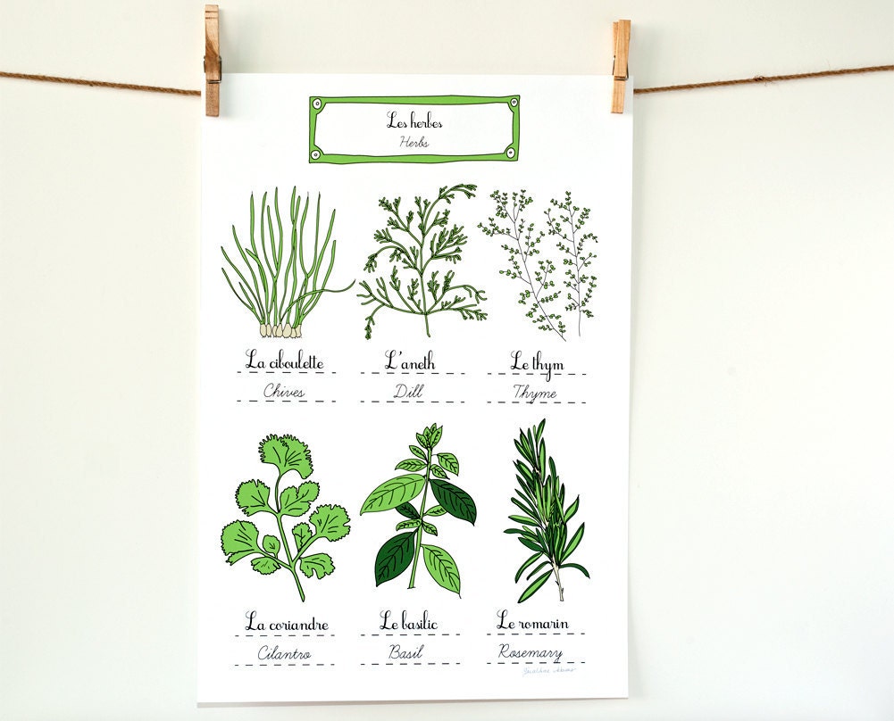 Herbs - French Kitchen Art Poster - Green Home Decor Botanical Plate 13x19 art print for a gourmet Aromatics Culinary gift for Mom