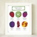 French Nursery Art Red Strawberry 5x7 Print Baby girl - Spring Fruits Series Botanical Chart Nature Food Home decor