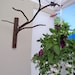 Decorative branch plant hanger