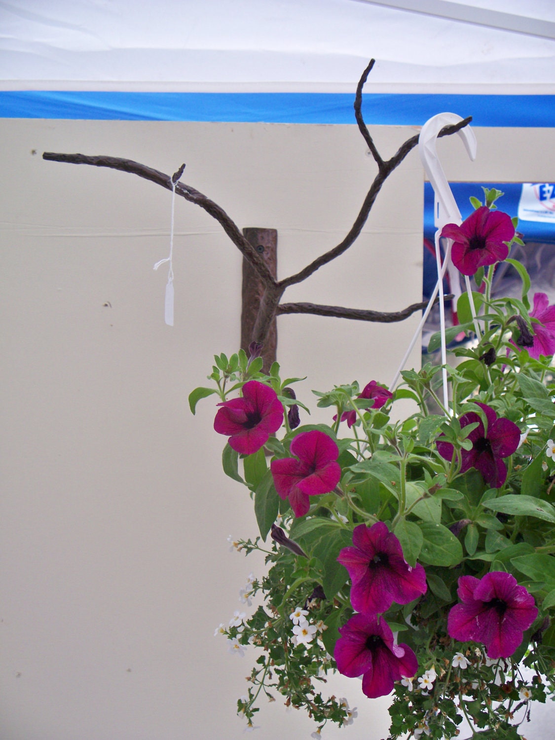 Decorative branch plant hanger