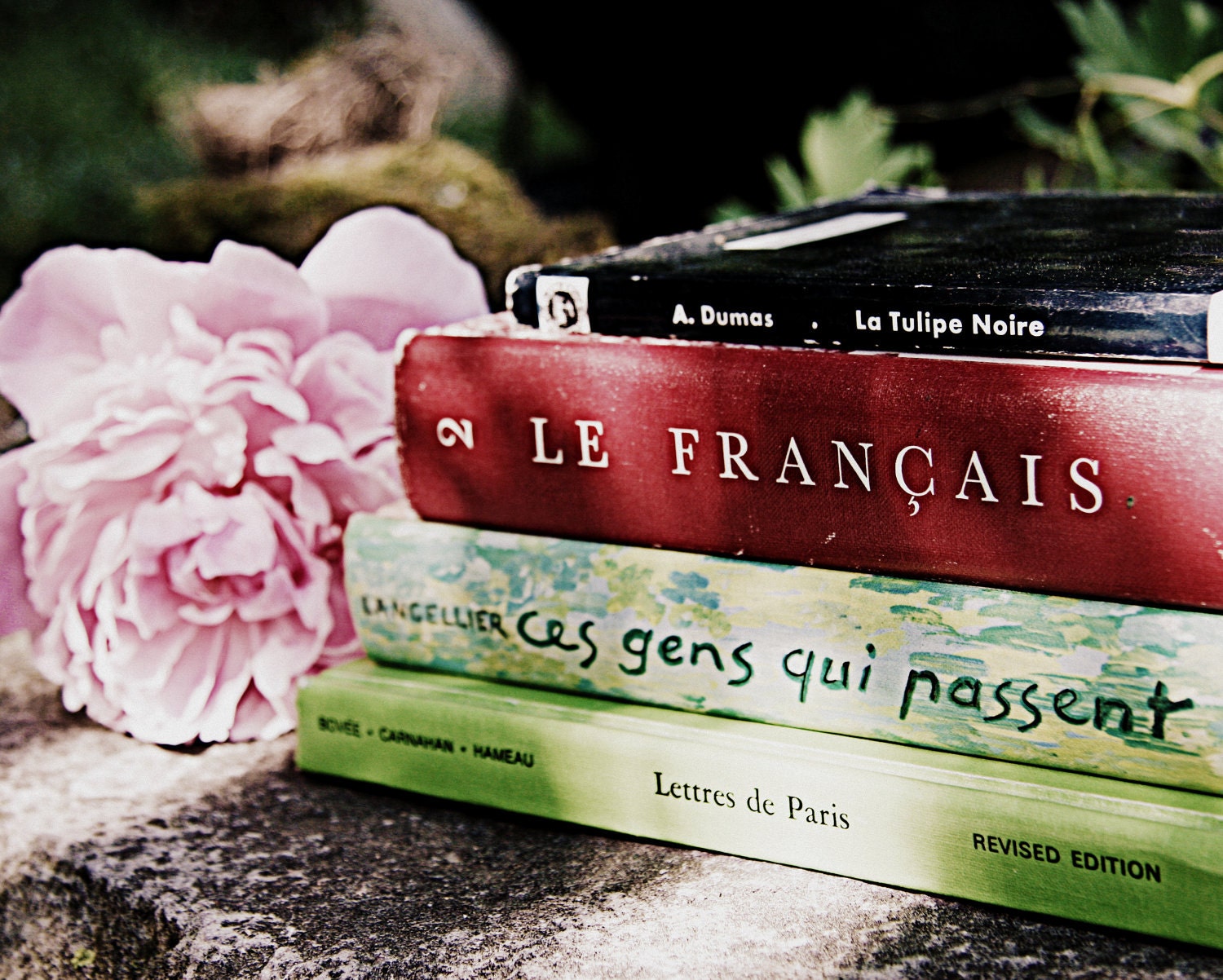 French Books and Peony Photo - Pink, Green, Red - For Her - Francophile -  Vintage Books - 8 x 10 -  Fine Art Photo - BrookeRyanPhoto