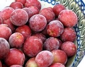5 Giant Red Grape Seeds-1003