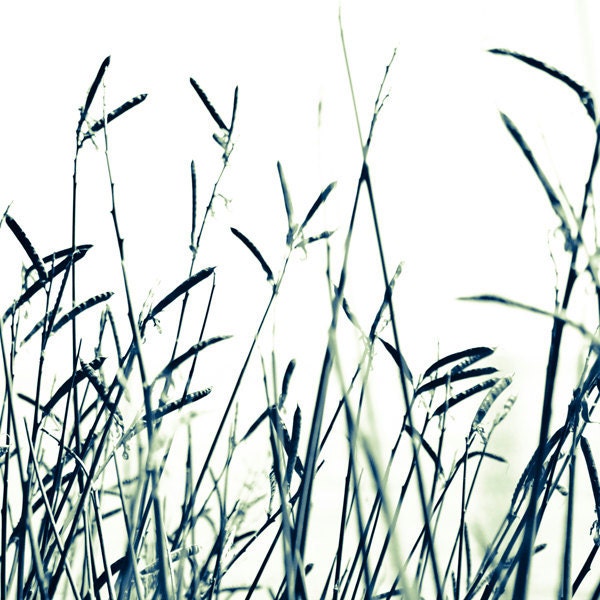 Home Decor Black and White Nature print 8x8 by DUEALBERI