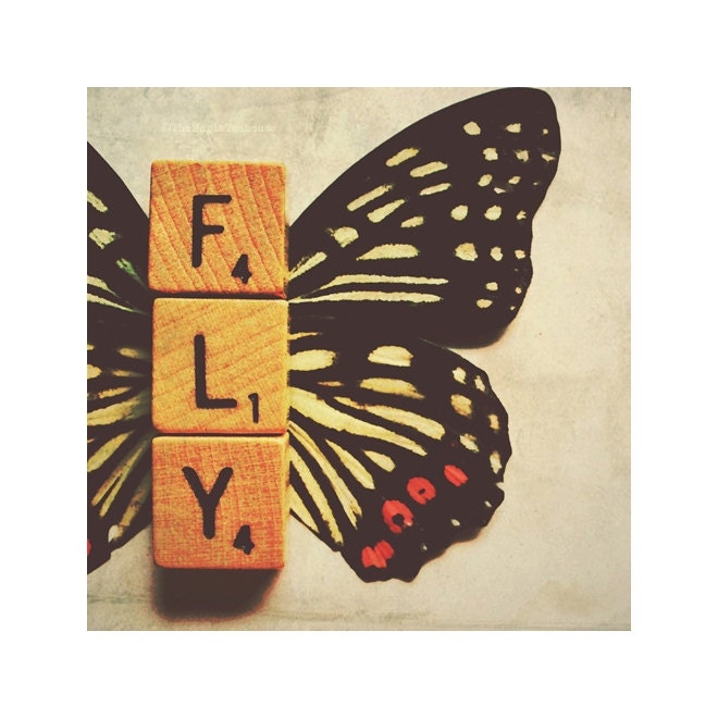 FLY, Photograph Print