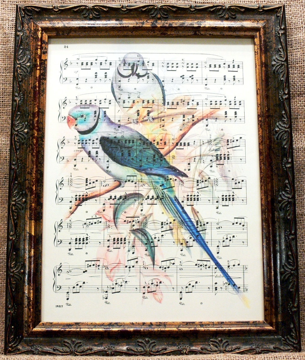 Malabar Parakeet Art Print from 1857 on Antique Music Book Page