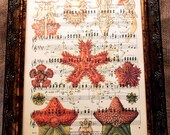 Starfish Art Print from 1904 on Antique Music Book Page