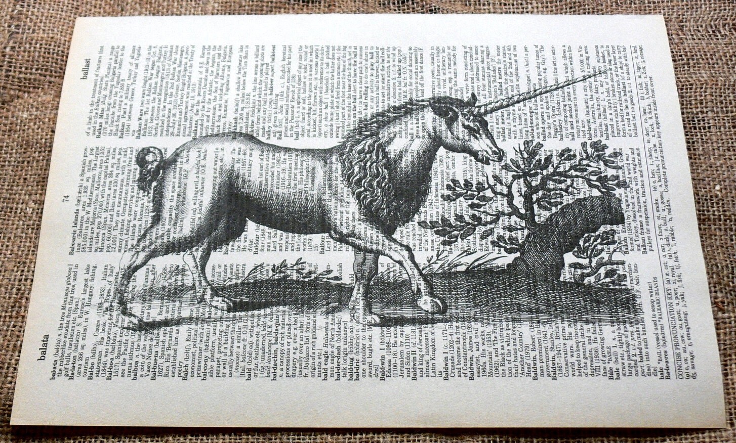 Vintage Unicorn Art Print on Vintage Dictionary by apageintime