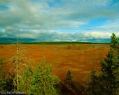 Dramatic Marshland - 12x8" Pearl Mounted Premium Fine Art Nature Photo Print - Affordable Artwork Decor