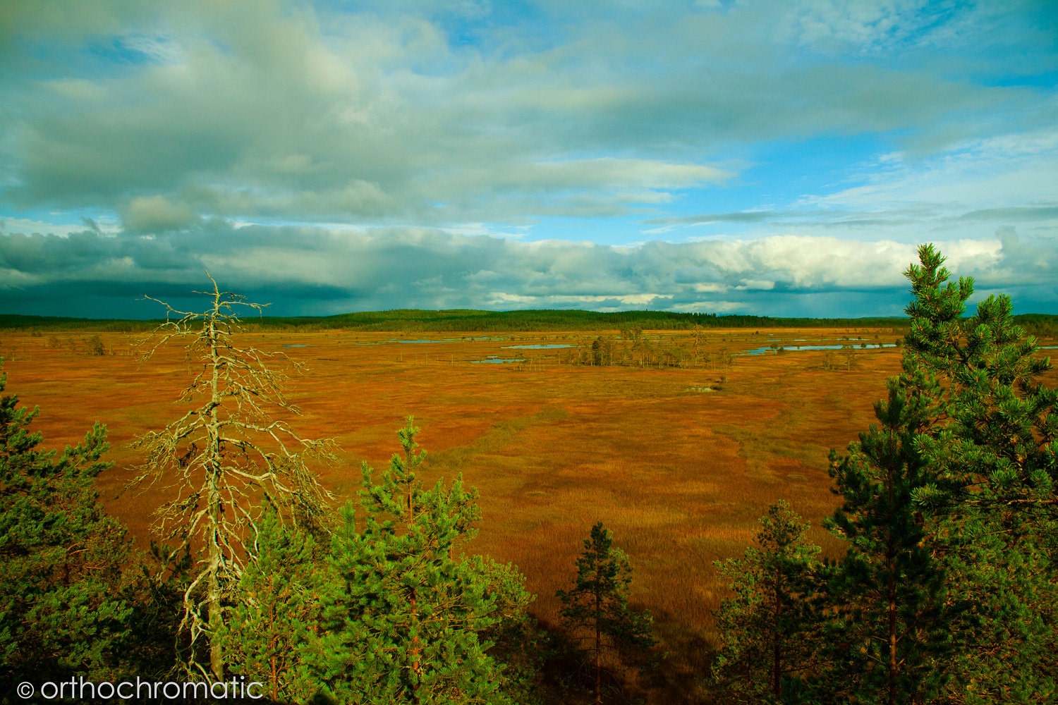 Dramatic Marshland - 12x8" Pearl Mounted Premium Fine Art Nature Photo Print - Affordable Artwork Decor