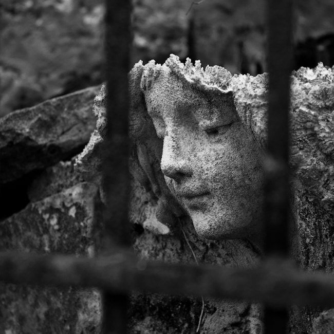 Above image: antique stone angel from Life