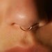 Septum Nose Ring Cuff (gold) - No Piercing Required (fake nose ring)