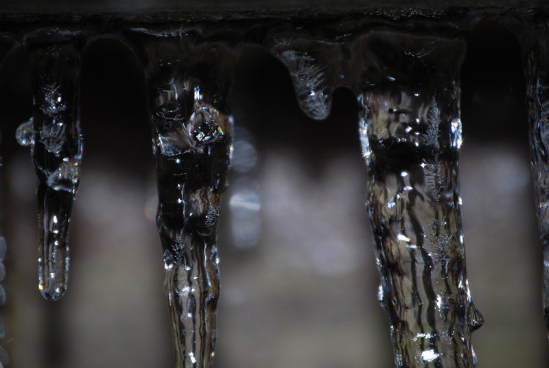 Icicles 8x10 Fine Art Print