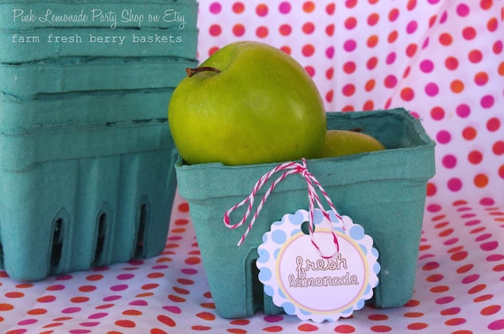 12 FARM FRESH BERRY Baskets-Party Favors-Weddings-Showers--Add Cookies, Cupcakes, Fruit or Gifts-