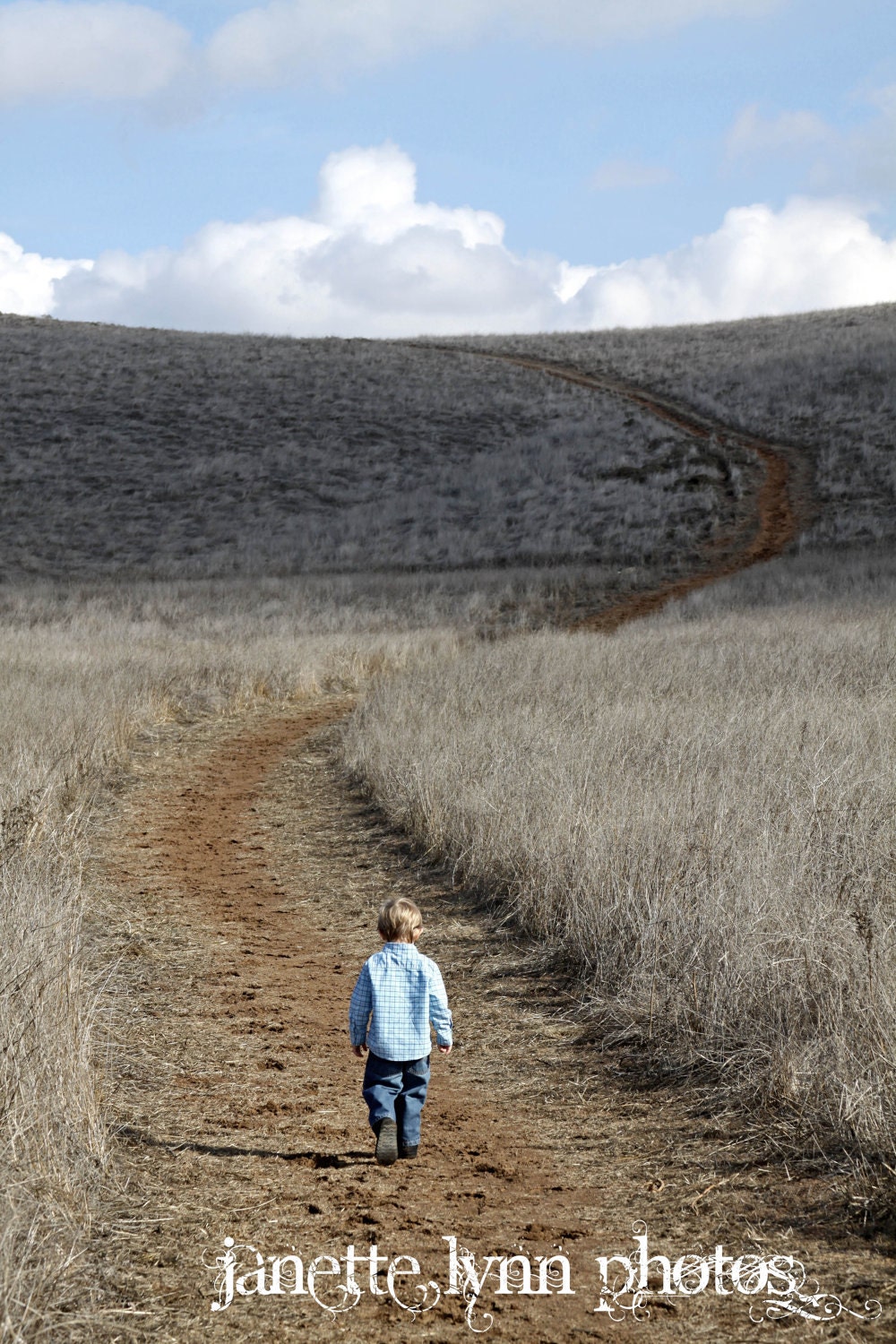 Boy Walking in Field Photography Print 8x10 - JanetteLynnPhotos