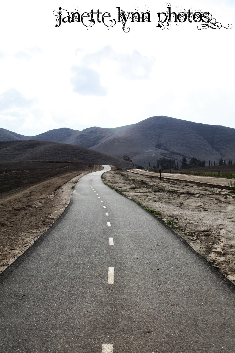 Road to Mountains Photography Print 8x10