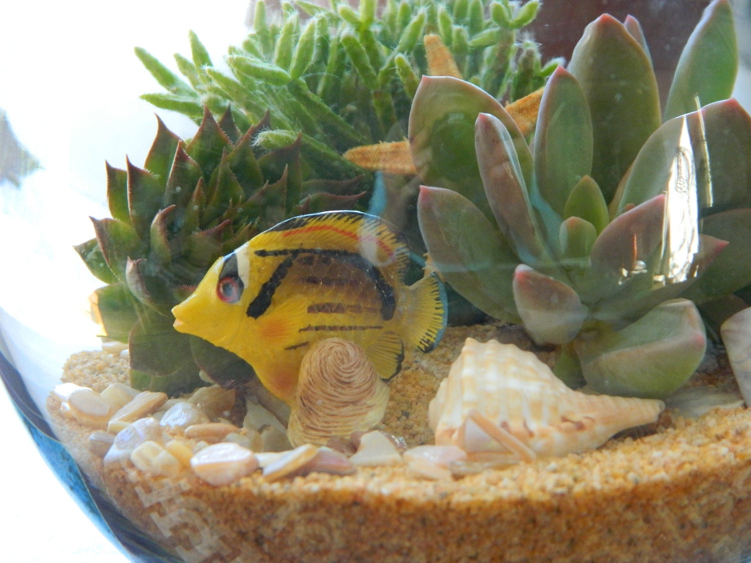 Succulent Terrarium - Succulent Tabletop, Wedding Centerpiece, Special Events Centerpiece, Succulent Planter, Succulent Garden