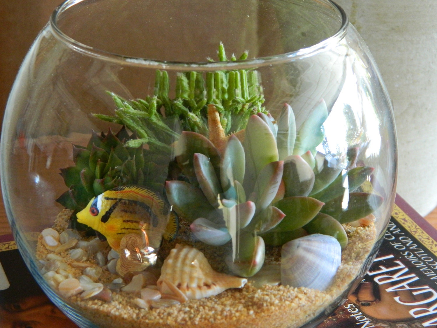Succulent Terrarium - Succulent Tabletop, Wedding Centerpiece, Special Events Centerpiece, Succulent Planter, Succulent Garden