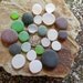 COIN or Button Beach Sea Glass 606-C-23