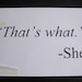 Amusing Quote - Spray Paint Stencil on Canvas (That's what she said)