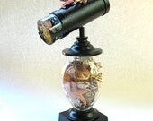Kaleidoscope Unique Art Shell Collector Ocean Seashell