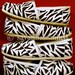 Zebra Painting for your TOMS Shoes