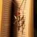 The Hunger Games Inspired Mocking Jay & Bow and Arrow Necklace with Red Fire Crystal- FREE WORLDWIDE SHIPPING
