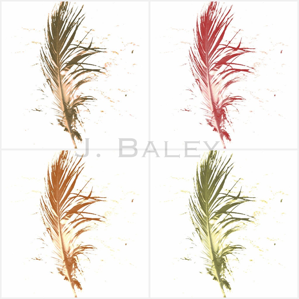 Set Discount - Fine Art - Photography Print - Feather Series of 4 - Home Decor - Brown Red Tan Yellow - ThePastiche Set Discount - Fine Art - Photography Print - Feather Series of 4 - Home Decor - Brown Red Tan Yellow - ThePastiche