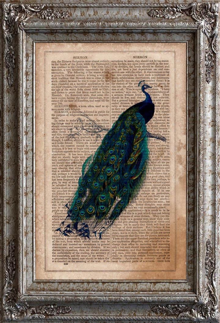 Peacock on Vintage Upcycled Dictionary Book Page Art Print Recycled Repurposed Bird