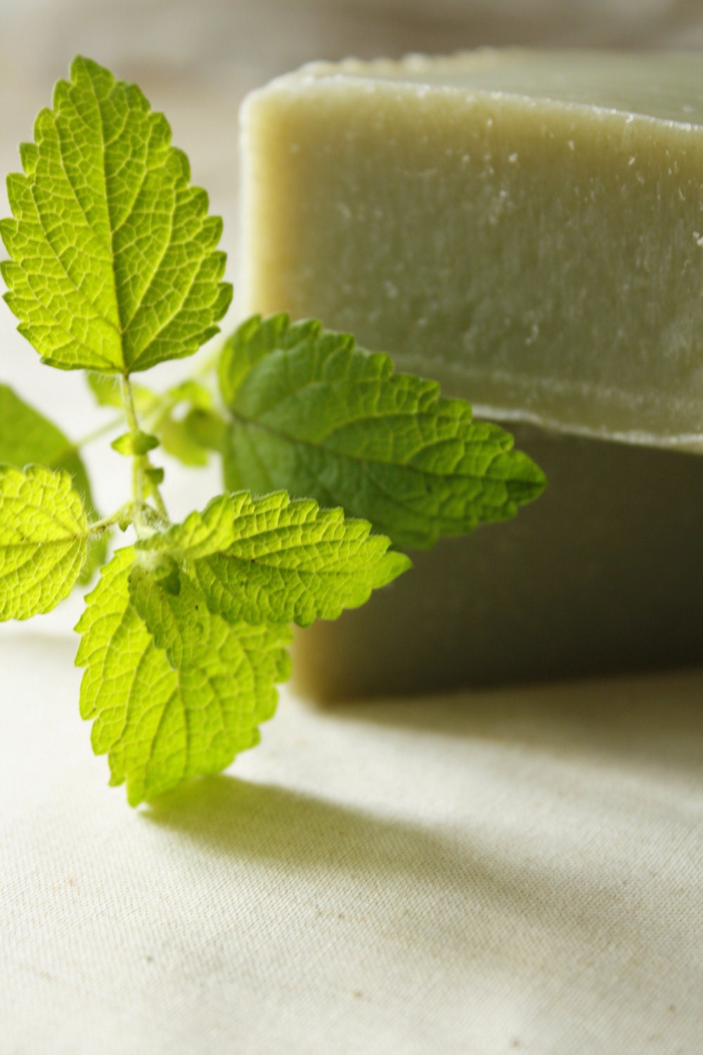 Mint Spruce Soap //  Handmade Soap, Mint Soap, Vegan Soap, Cold Process Soap, All Natural Soap