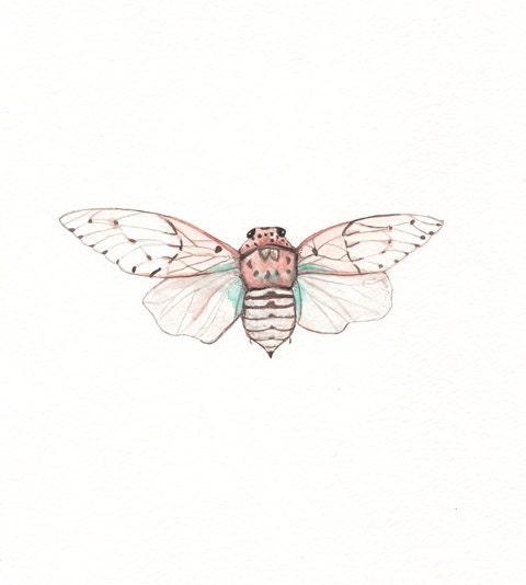 Cicada / watercolor print/teal/light green/coral/pink/brown/tan - kellybermudez