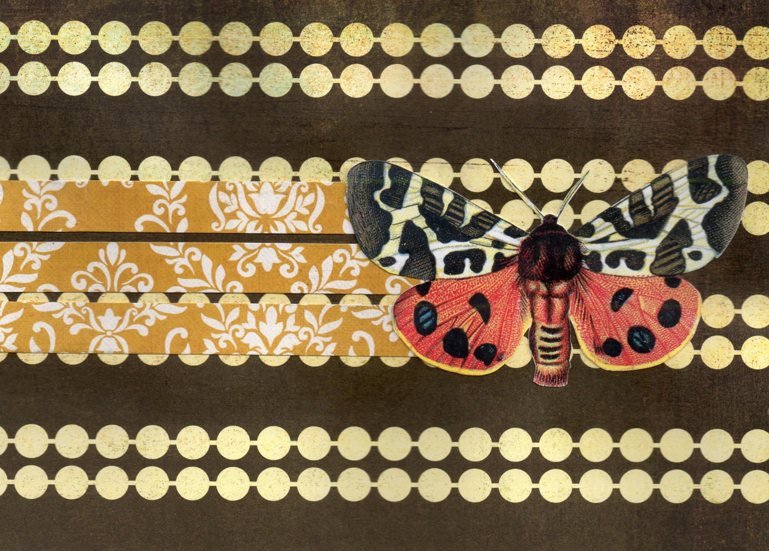 Insect Cards