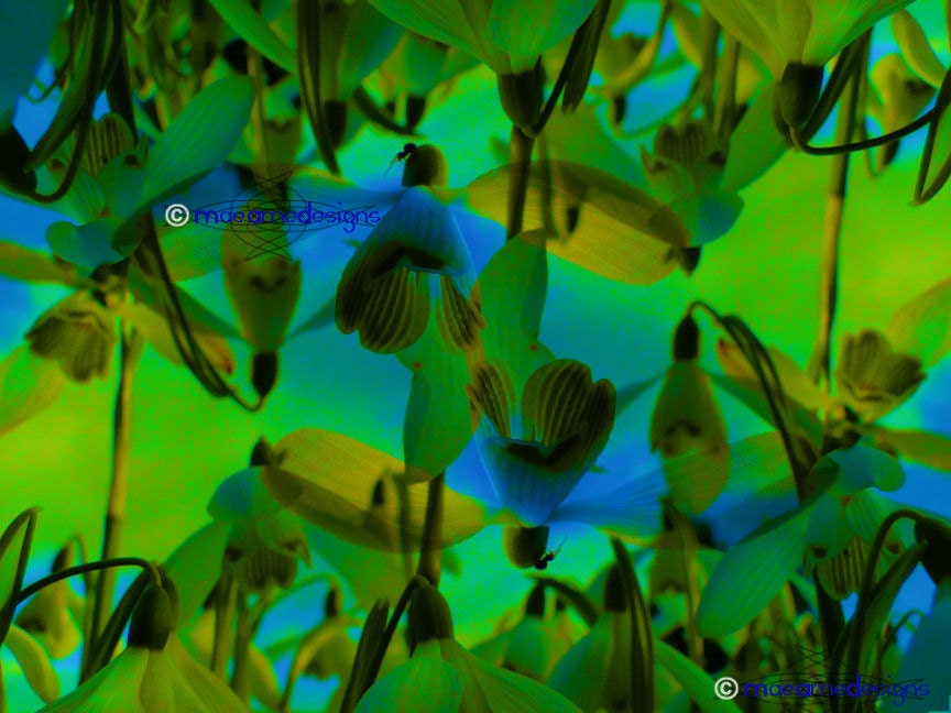 Surreal Art - Pop Art - Flowers - Green - Abstract - Art Print - 10x8 - Abstract Art - Fine Art - Blue