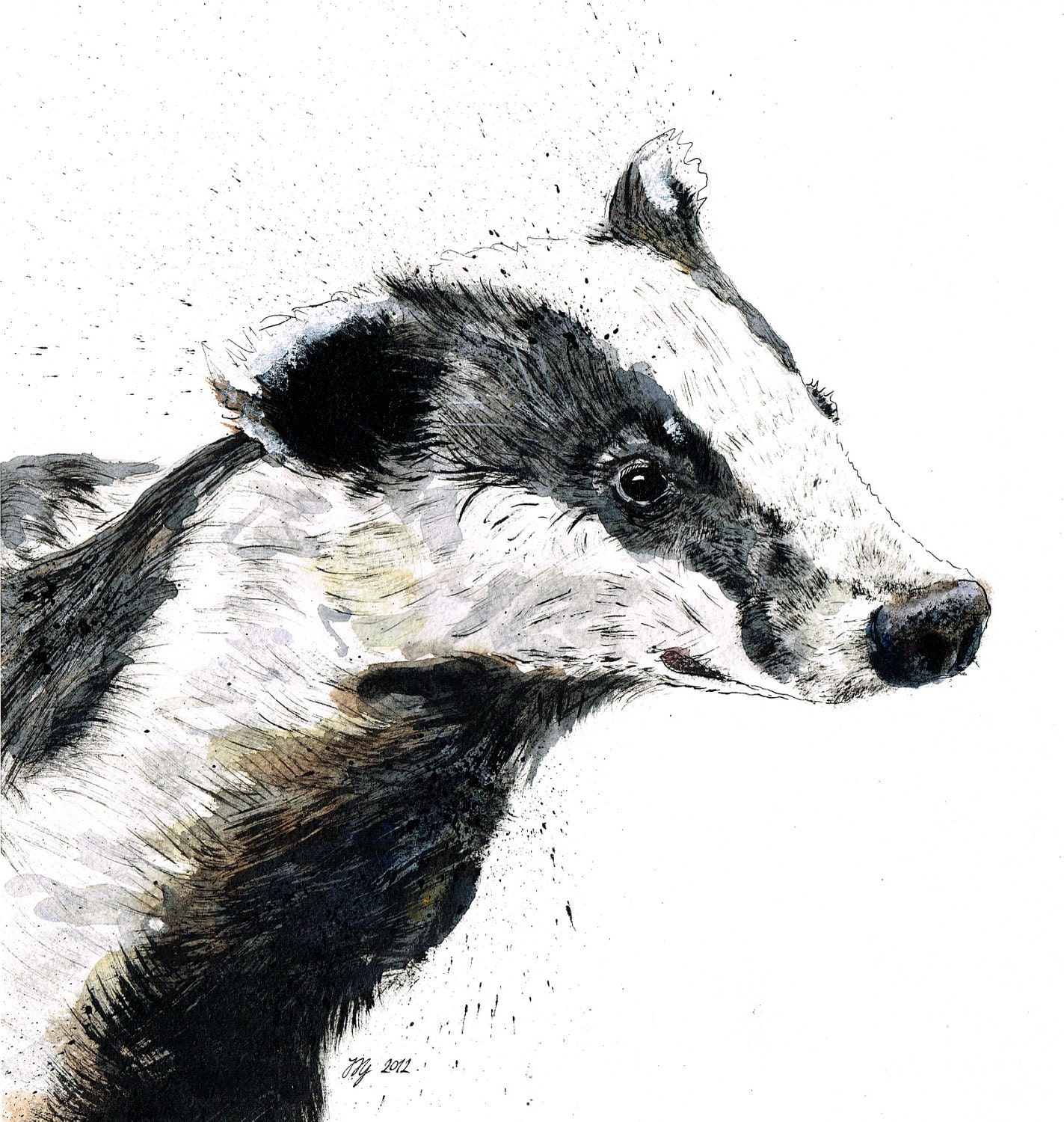Limited Edition Gicleee Print  297mm Square Badger "Flick"  Mixed Media Painting