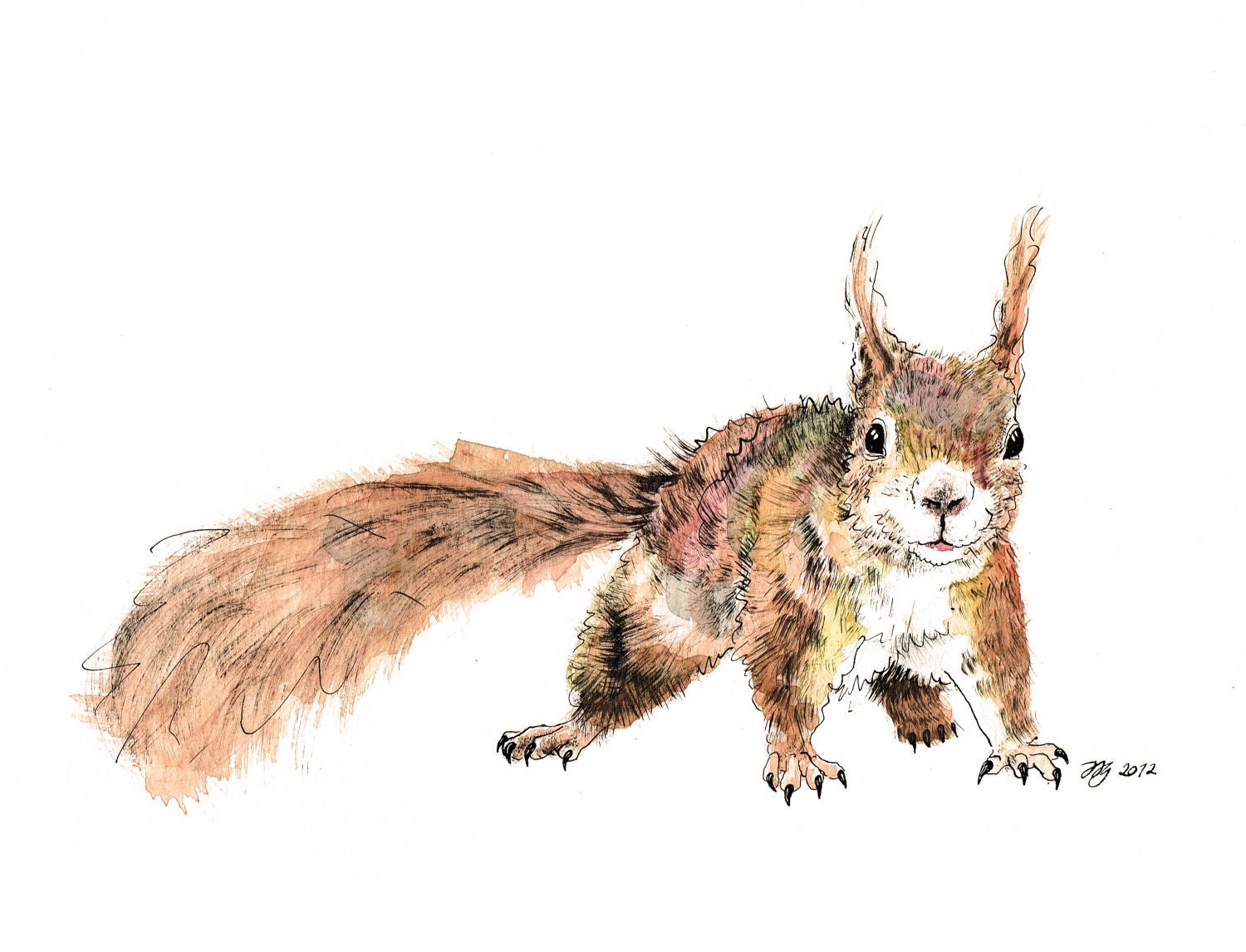 Original Red Squirrel "Smirk"  Mixed Media Painting