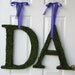Moss Covered Monogram Letter - Moss Covered Letter - Set of TWO ( 12 inches )