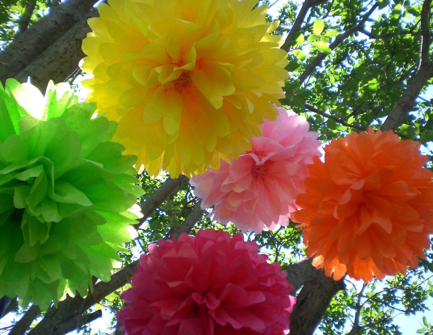 Birthday Party Decorations / 7 Hanging Tissue Paper Poms Plus 3 Paper Flowers /  Pick your Colors