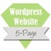 Need a Wordpress Website, Professional Custom Website or Blog Design CMS, 5 pages.