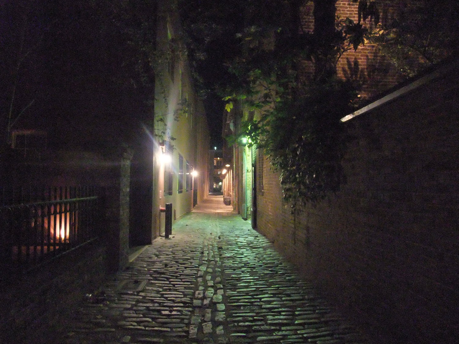 Cobblestoned Charleston alley, haunted, mysterious, dramatic, nocturnal, historic home decor, 5 x 7 - Lehns