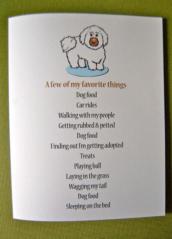 A few of my a Dog's favorite things... A Dog's List by dewlawdees