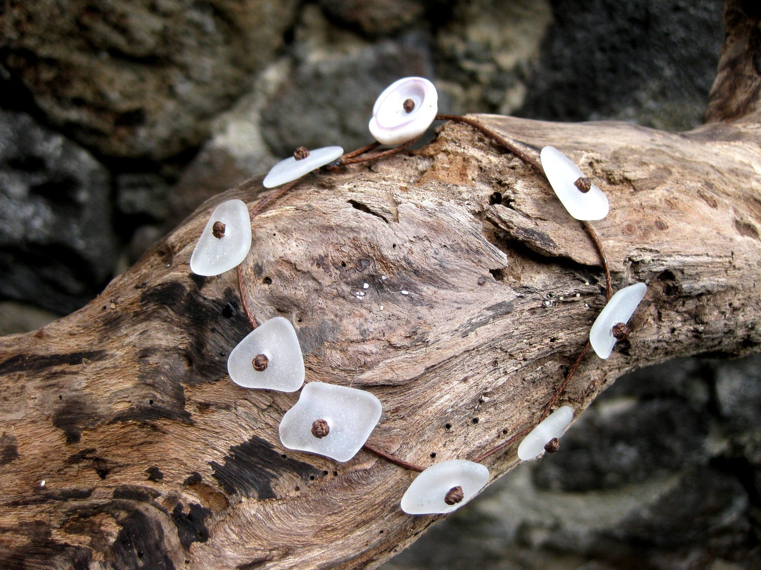 Hawaiian Clear Beach Glass on Brown Wax Cord Bracelet / Anklet with Puka Shell End Connector