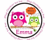 DIY Printable Big Sister & Little Sister Custom Iron On Transfer -- Personalized Design -- Owl - Bear - Monkey - Bunny - Ballerina