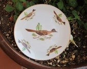 Roadrunner Bird Plate