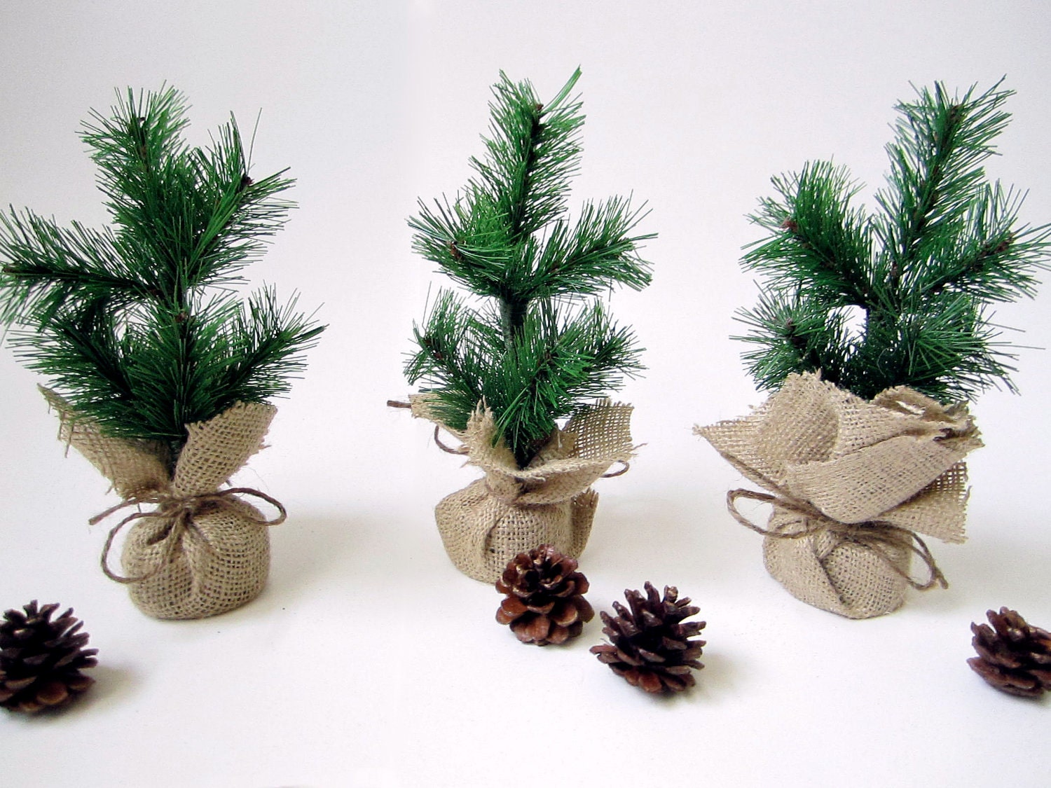 MINI CHRISTMAS TREES